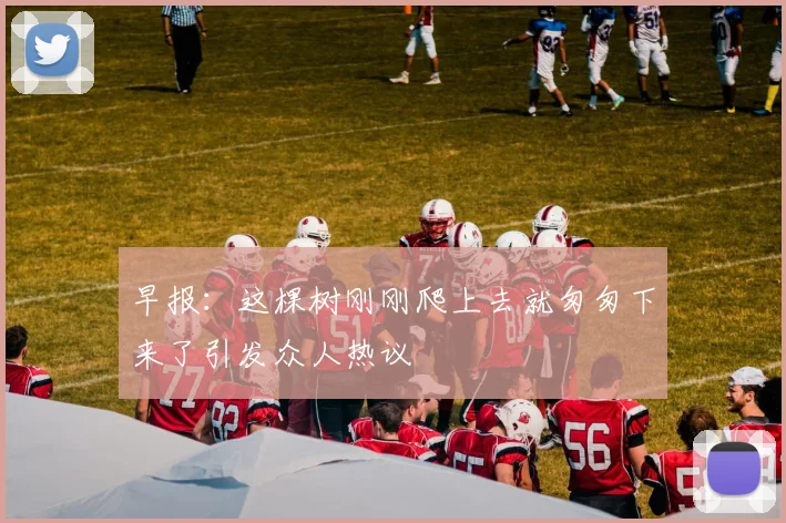 早报：这棵树刚刚爬上去就匆匆下来了引发众人热议